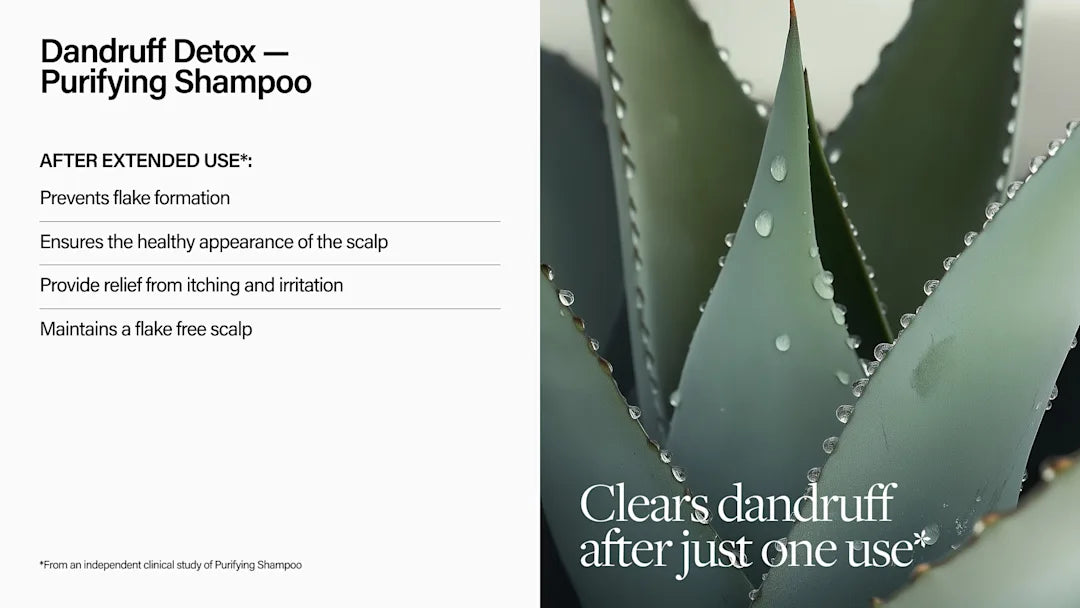 Advertisement for Dandruff Detox Purifying Shampoo with a close-up of a succulent plant.