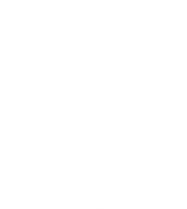 Divine hair and beauty