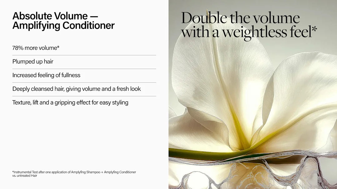 Advertisement for an absolute volume amplifier conditioner with a white flower image.