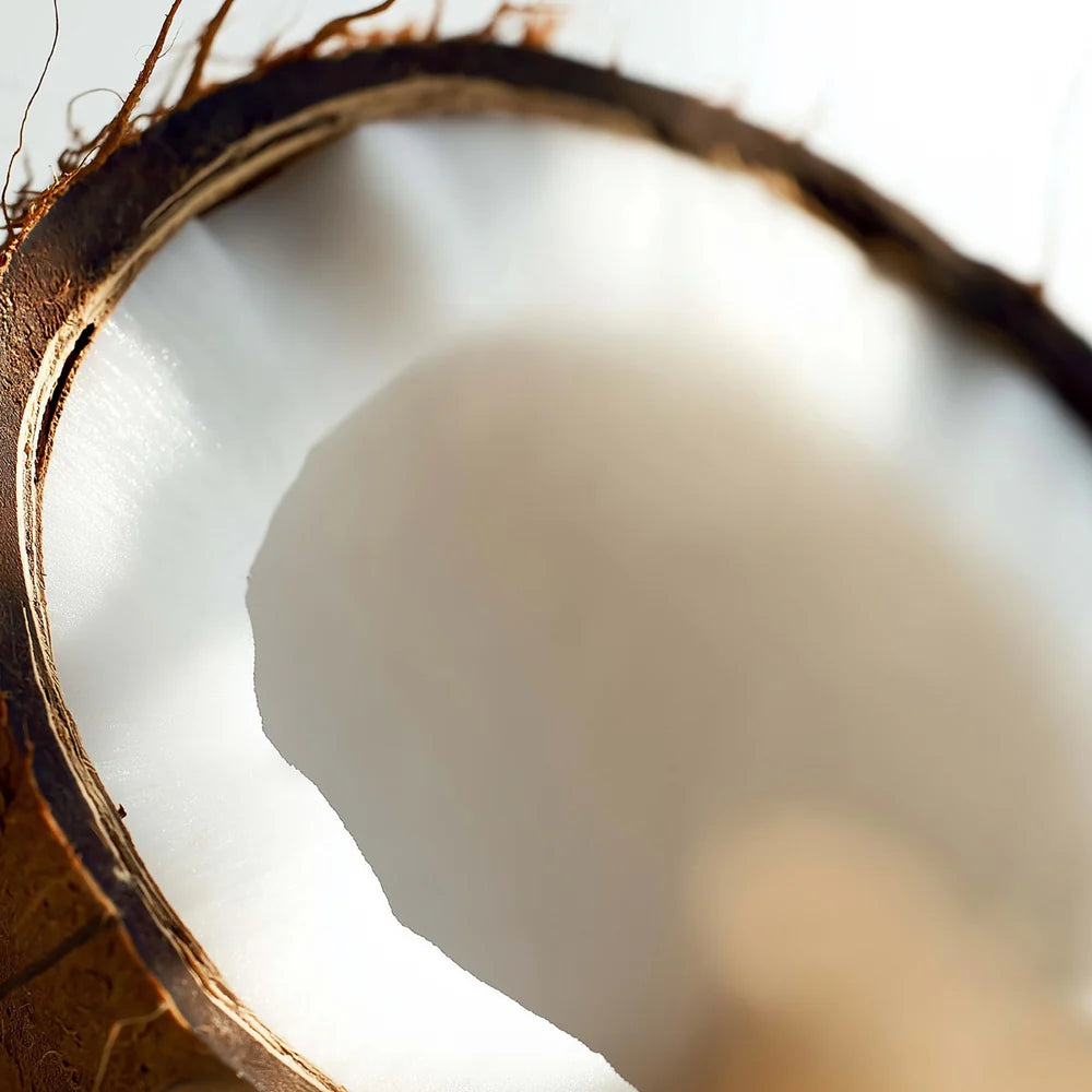 Close-up of a coconut with a blurred background